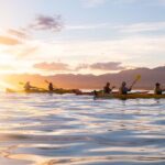 Sunset Evening Kayaking Tour - Kaikoura - How About Weather and What to Bring?