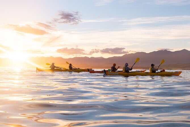Sunset Evening Kayaking Tour - Kaikoura - How About Weather and What to Bring?
