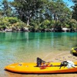 Sunset Kayak Eco Tour with Marine Scientist - The Value of the Experience
