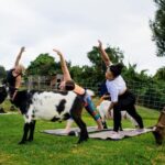 Sunset Maui Goat Yoga with Live Music - The Setting and Atmosphere