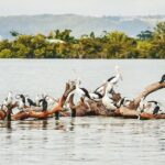 Sunset River Cruise near Byron Bay - What Travelers Love About This Tour