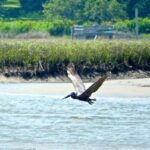 Sunset Sail Tour - The Pros and Cons