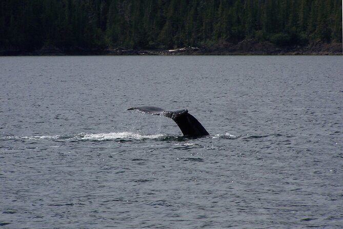 Sunset sailing trip on the Lagoon of Tahiti - The Pros and Cons
