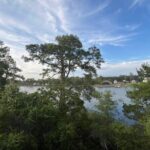 Sunset, Stand Up Paddle and Sip - Who Is This Tour Best For?