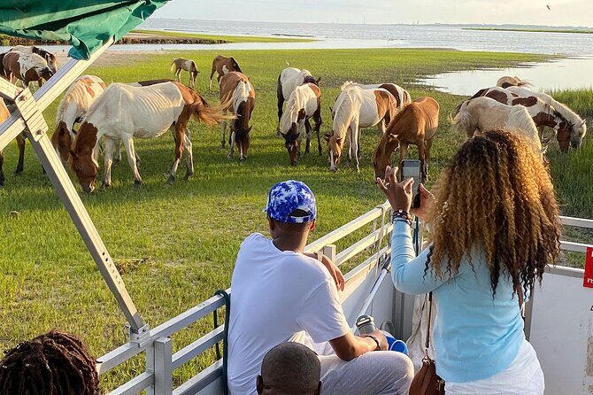 Sunset Wildlife Cruise along Assateague & Chincoteague Island - Pricing and Value Considerations