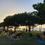 Sunset Yoga Flow at Magic Island - The Experience Itself: What to Expect
