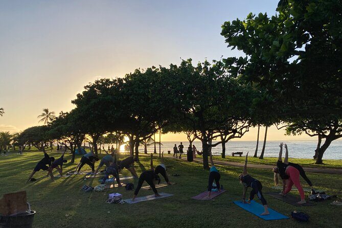 Sunset Yoga Flow at Magic Island - The Experience Itself: What to Expect
