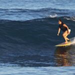 Surf Lesson Tours (Full day) - The Learning Experience