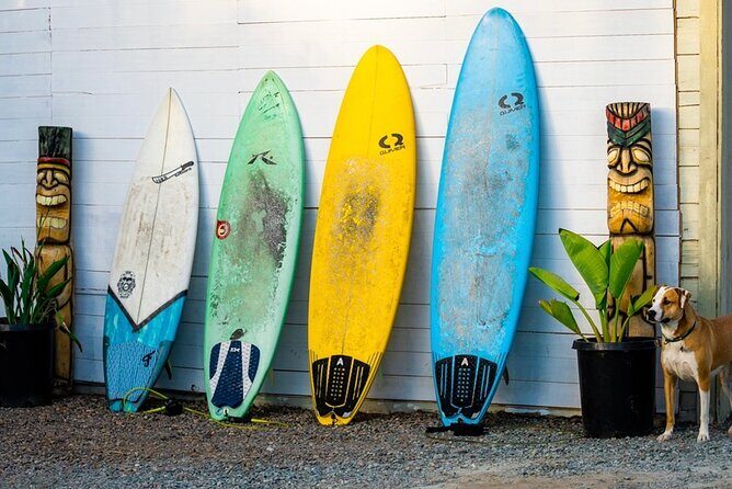 Surfboard Rental All Day Solana Beach Fletchers Cove - The Sum Up