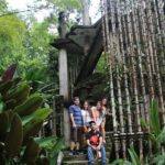 Surrealist Garden Tour in Xilitla and Sotano de las Huahuas - What’s Included and What’s Not