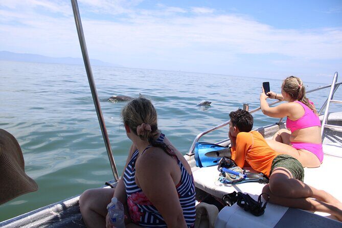 Swim and Paddle Board with Wild Dolphin Pods in Puerto Vallarta - Frequently Asked Questions