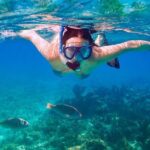 Swim & Fly Day Trip in Cancun with Transportation - What We Love About This Tour
