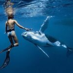 Swim in Moorea with Humpback Whales and More - Analyzing the Value for Money