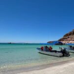 Swim with Sea Lions in La Paz - Is It Worth the Price?