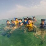 Swim with sea turtles - FAQs