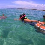 Swim with Turtles in Akumal + GoPro Photo Session - Price and Value