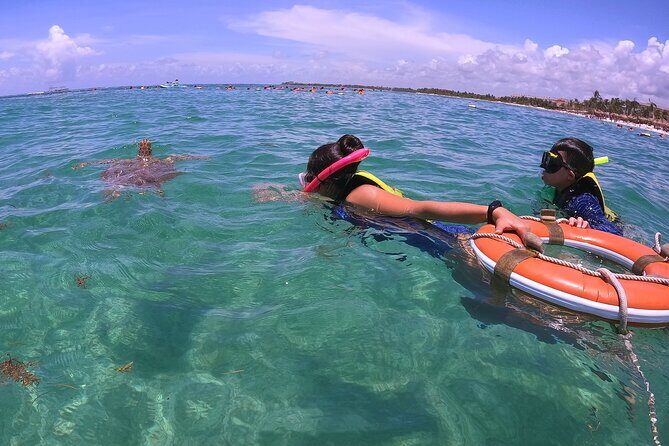 Swim with Turtles in Akumal + GoPro Photo Session - Price and Value