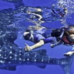Swim with Whale Sharks & Isla Mujeres - What’s Included & What You’ll Need to Budget Extra For