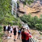 Sydney Blue Mountains Day Tour with Wildlife Park and Waterfalls - The Experience and Group Dynamics