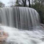 Sydney: Blue Mountains National Park Tour with River Cruise - How the Tour Works in Practice