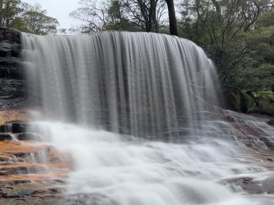 Sydney: Blue Mountains National Park Tour with River Cruise - How the Tour Works in Practice