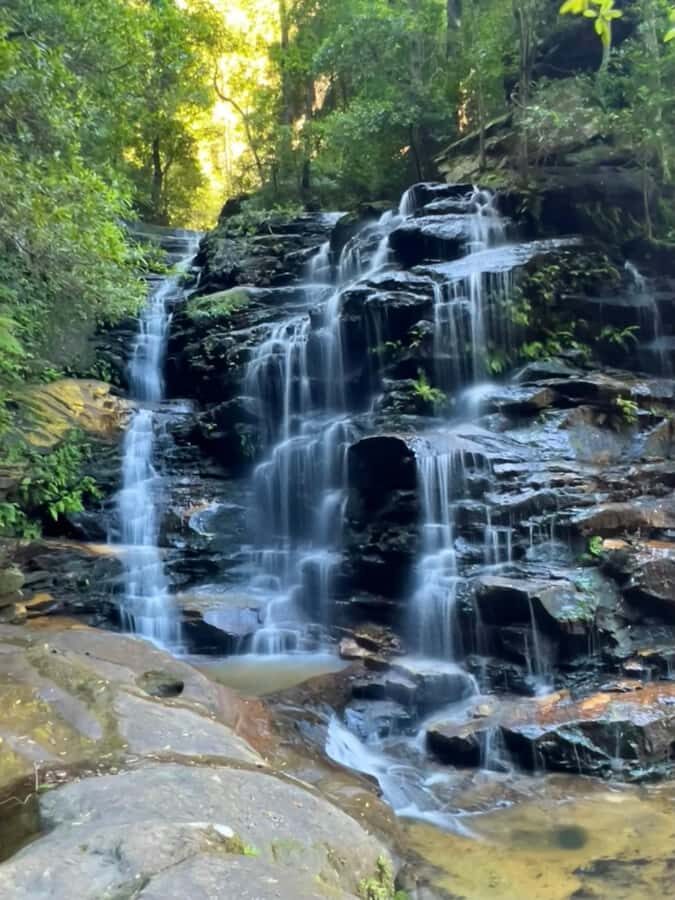 Sydney: Blue Mountains Private Wildlife Adventure Tour - What to Expect on this Tour