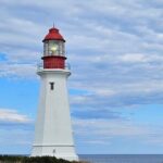 Sydney City & Coastline Tour - Who Is This Tour Best Suited For?