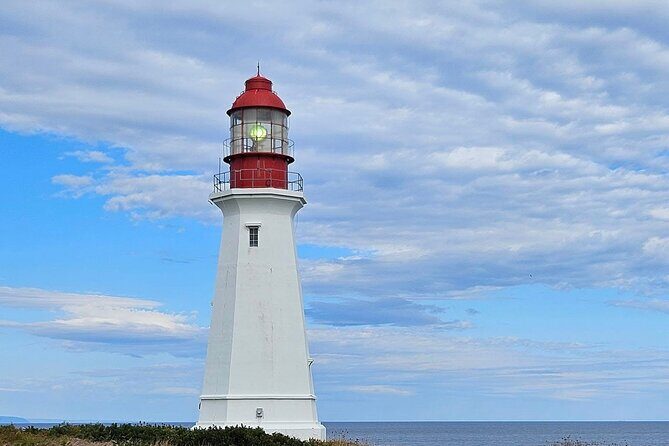 Sydney City & Coastline Tour - Who Is This Tour Best Suited For?