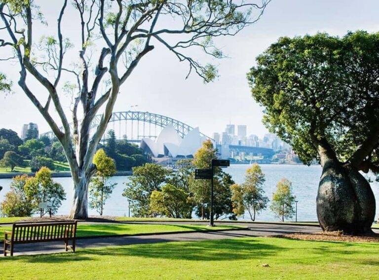 Sydney: City Hike with Opera Bar Lunch - The Itinerary: What You Can Expect