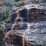 Sydney: English or German Private Blue Mountains Tour - The Value of a Private, Tailored Tour