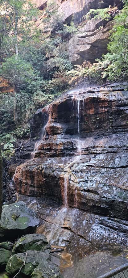 Sydney: English or German Private Blue Mountains Tour - The Value of a Private, Tailored Tour