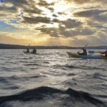 Sydney Harbour Bridge Kayak & Breakfast Tour - Whats Included & Whats Not