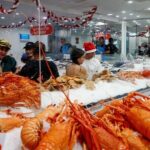 Sydney Private local Experience Tour - What’s Included and What to Expect