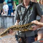 Sydney: Reptile Park and Avoca Beach Day Trip with Entry - What’s the Real Value?