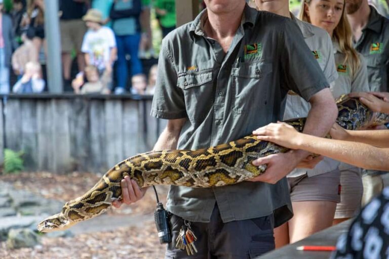 Sydney: Reptile Park and Avoca Beach Day Trip with Entry - What’s the Real Value?