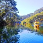Sydney's Middle Harbour Sea Kayaking Eco Tour (Fully Guided) - Practical Details & Considerations