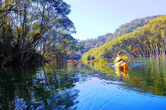 Sydney's Middle Harbour Sea Kayaking Eco Tour (Fully Guided) - Practical Details & Considerations