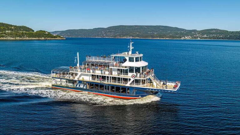 Tadoussac/Charlevoix: 3-Hour Whale Watching Boat Tour - Who Should Consider This Tour?