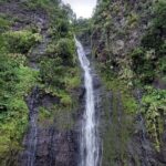 Tahiti Fautaua Valley and Big Waterfall Private Hiking Tour - Physical Demands and Suitability