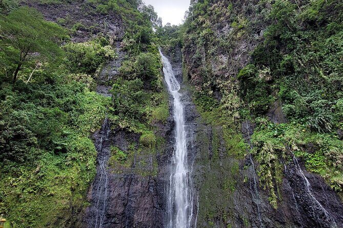 Tahiti Fautaua Valley and Big Waterfall Private Hiking Tour - Physical Demands and Suitability