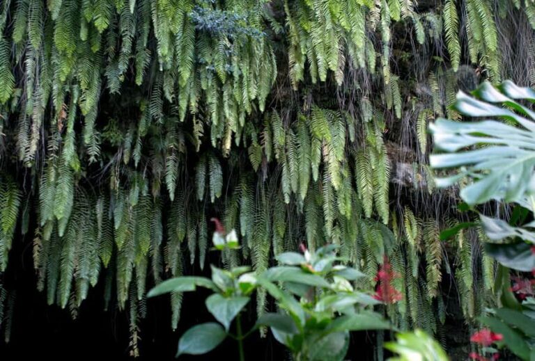 Tahiti: Private Half Day Culture and Nature Highlights Tour - What Makes This Tour Stand Out?