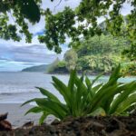 Tahiti: Tour of the East or West Coast (Half Day) - East Coast Highlights