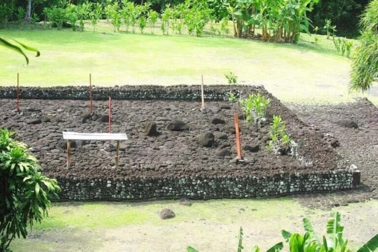 Tahiti: West and East Coast Island Tour with Waterfalls - What Travelers Say