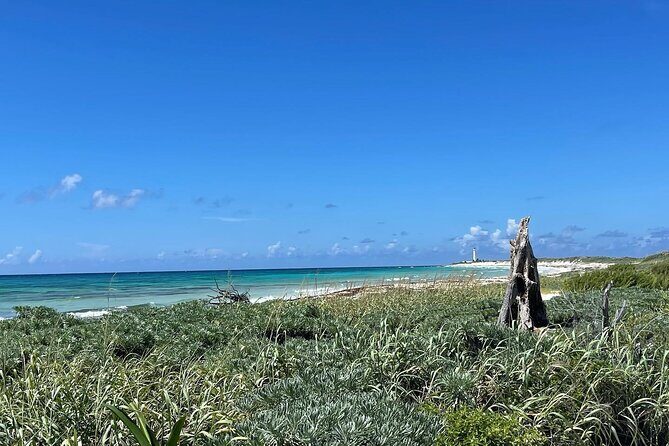 Take a Ride in your Buggie in Cozumel only from Tulum - The Beach Break: Paradise Found