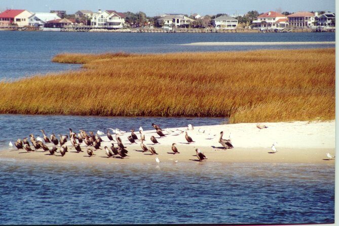 Take a Scenic Boat Ride in St. Augustine - The Details That Matter