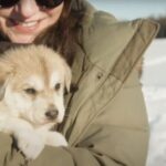 Talkeetna: Alaskan Winter Dog Sledding Experience - The Experience in Detail