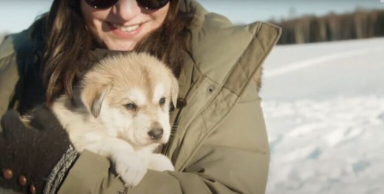 Talkeetna: Alaskan Winter Dog Sledding Experience - The Experience in Detail