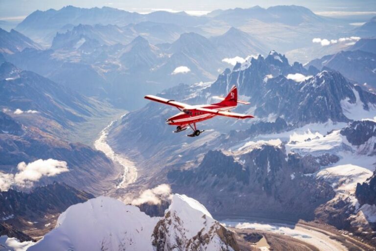 Talkeetna: Guided Tour of Denali National Park By Air - Who Is This Tour Best For?