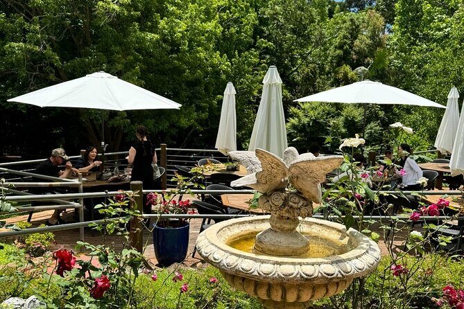 Tamborine Explorer from Brisbane - The Itinerary Breakdown