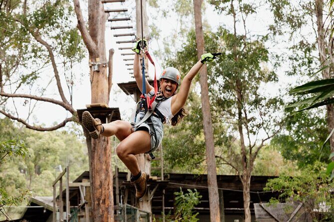Tamborine Mountain TreeTop Challenge Adventure Park - Final Thoughts